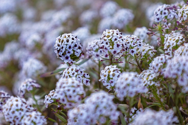 Floral print A-line skirt in soft pastel tones worn with white tee